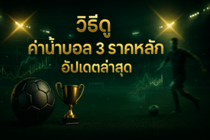 วิธีดู ค่าน้ำบอล